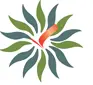 Arunachal University of Studies Logo