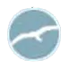 Bihar Yoga Bharti Logo