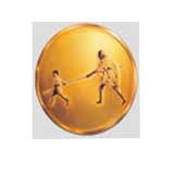 Mahatma Gandhi Mission Institute of Health Sciences Logo