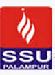 Sri Sai University Logo