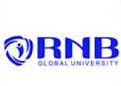 RNB Global University Logo