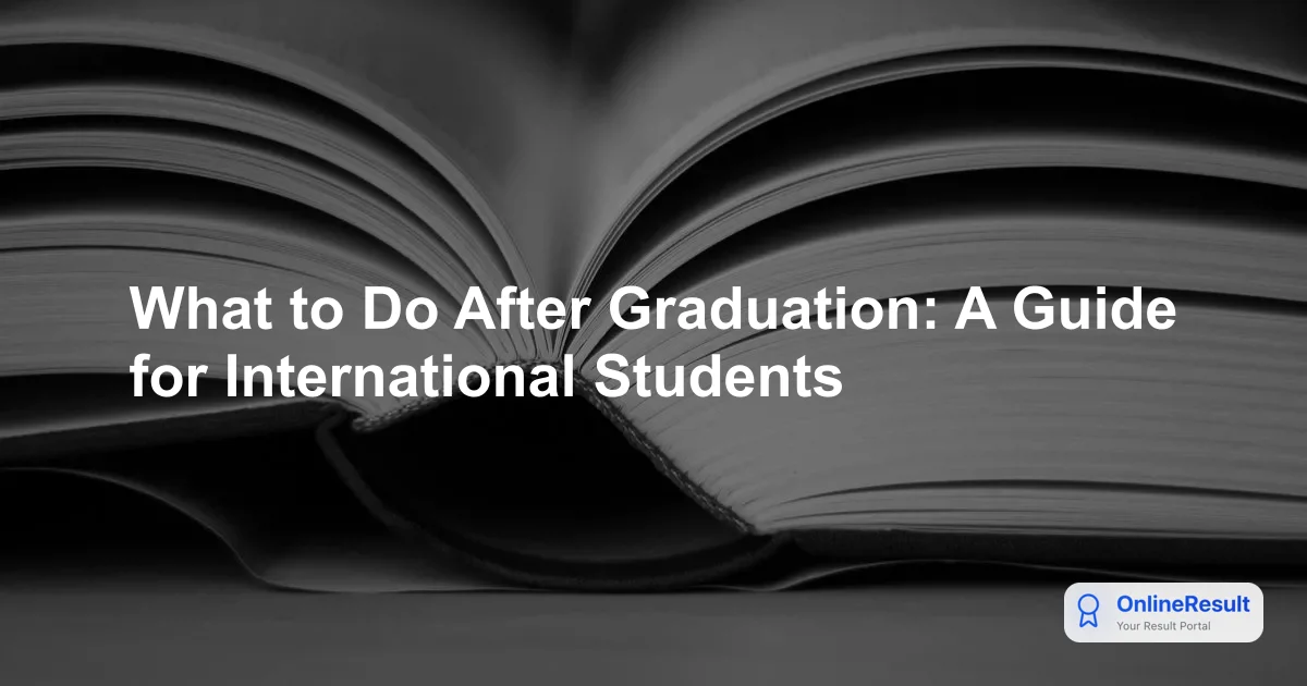 What to Do After Graduation: A Guide for International Students
