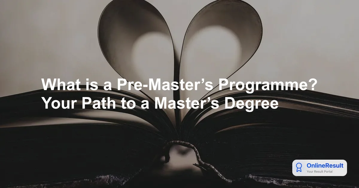 What is a Pre-Master’s Programme? Your Path to a Master’s Degree