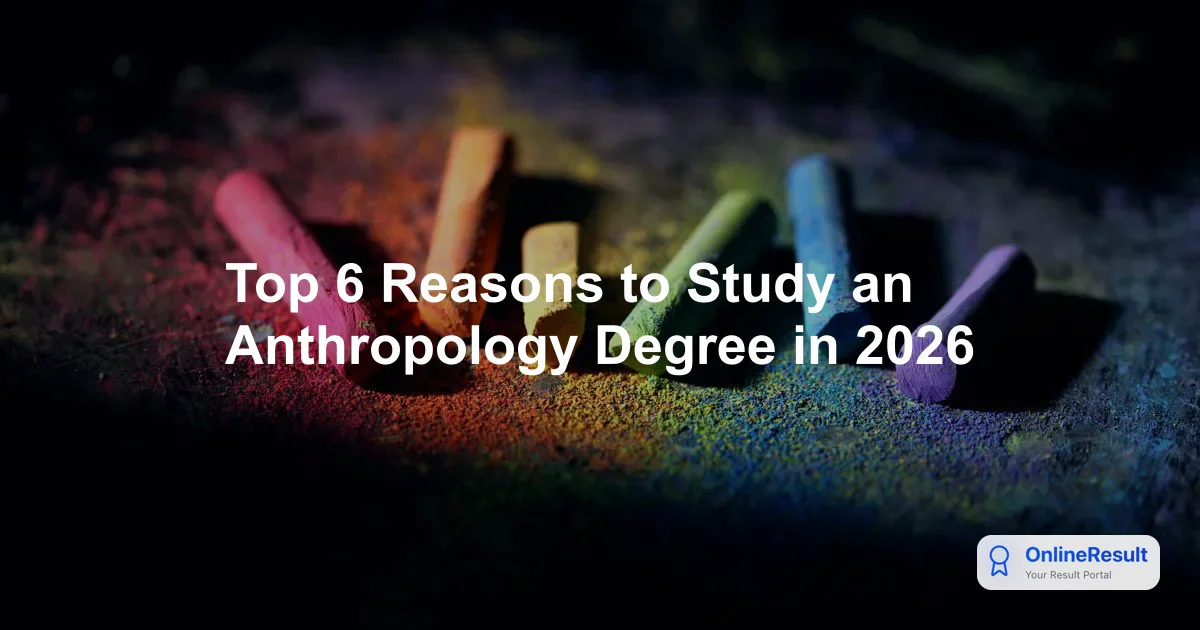 Top 6 Reasons to Study an Anthropology Degree in 2026
